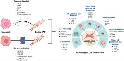 Metastasis and cancer associated fibroblasts: taking it up a NOTCH